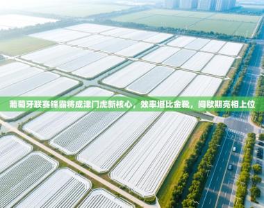 葡萄牙联赛锋霸将成津门虎新核心，效率堪比金靴，间歇期亮相上位