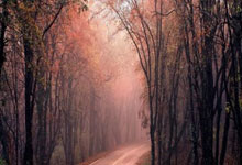 斯基拉：纽卡已向切尔西询问了杰克逊，球员不再是球队核心，纽卡斯尔联队新老板