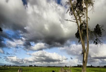 韦德：2010年我本来准备加盟公牛 但我接到了来自勒布朗的电话，韦德在公牛待了几年