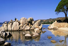 韦德：2010年我本来准备加盟公牛 但我接到了来自勒布朗的电话，韦德在公牛待了几年