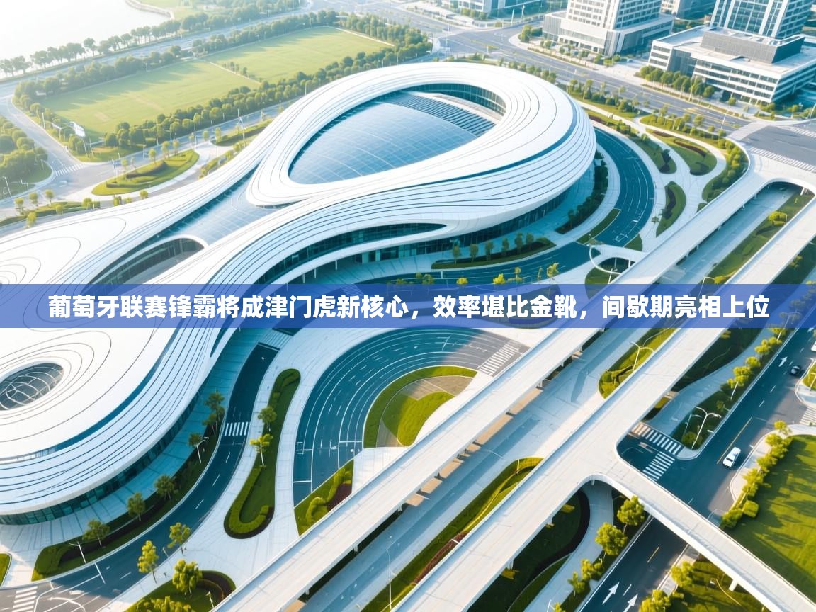 葡萄牙联赛锋霸将成津门虎新核心,效率堪比金靴,间歇期亮相上位 第2张