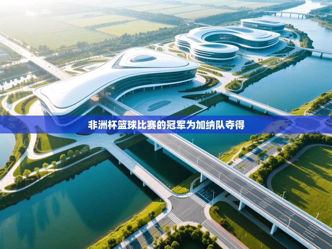 非洲杯篮球比赛的冠军为加纳队夺得  第1张