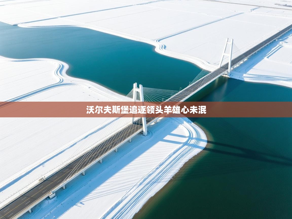 沃尔夫斯堡追逐领头羊雄心未泯  第1张