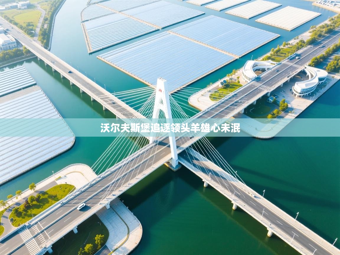 沃尔夫斯堡追逐领头羊雄心未泯  第2张